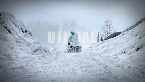 Ujjwal Shorts banner