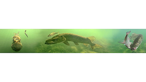 Underwater World Official banner