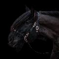 Untraitdecheval avatar
