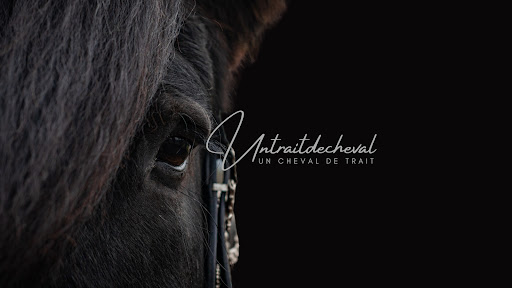 Untraitdecheval banner