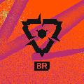 VALORANT Esports BR avatar