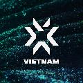 VALORANT Champions Tour Vietnam avatar