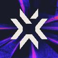 VALORANT Champions Tour avatar