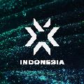 VALORANT Esports Indonesia avatar