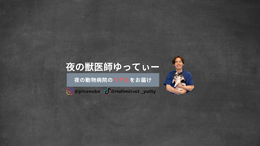 夜の獣医師ゆってぃー banner