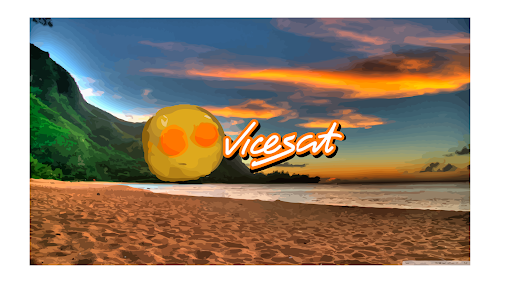vicesat banner