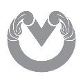 Vidya Myanmar avatar
