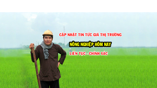 Việt Nam Mới banner