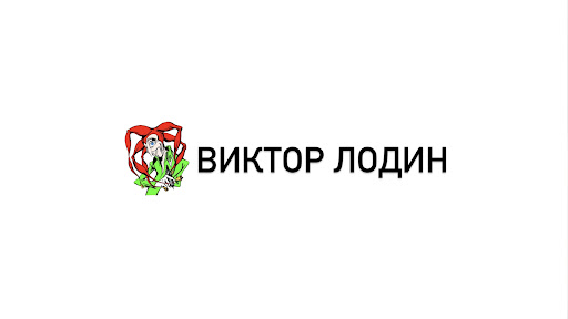 Виктор Лодин banner