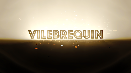Vilebrequin banner