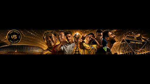 Vinsi Sports banner