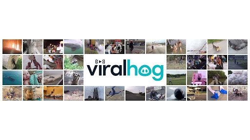 ViralHog banner