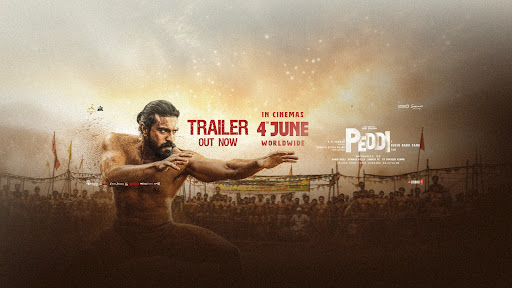 Vriddhi Cinemas banner