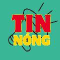 Vườn TO - Hoa Cây Cảnh avatar