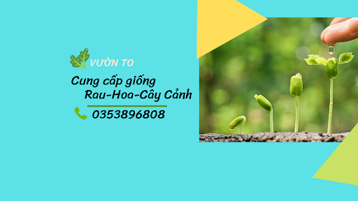 Vườn TO - Hoa Cây Cảnh banner