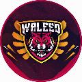 نصرت & وليد | Gaming   avatar
