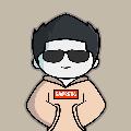 Wan Animation avatar