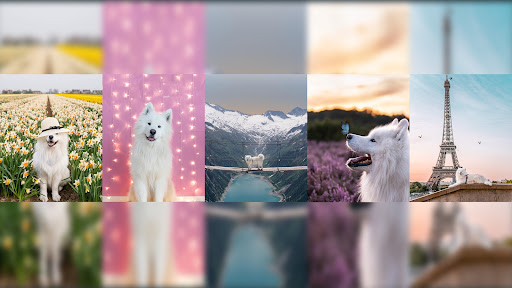 Wanderlust Samoyed banner