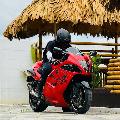 WD TRAILS avatar