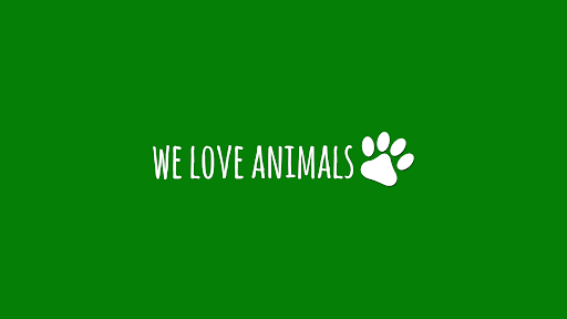 We Love Animals banner