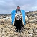 Welat Kiraç63 avatar