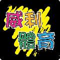Welly Sports avatar