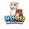 하얀낙타 avatar