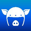 WILDCAT avatar