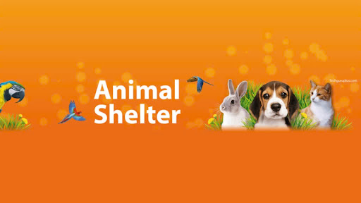 Wildlife Animals 379 banner
