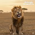 Animal Around Us avatar