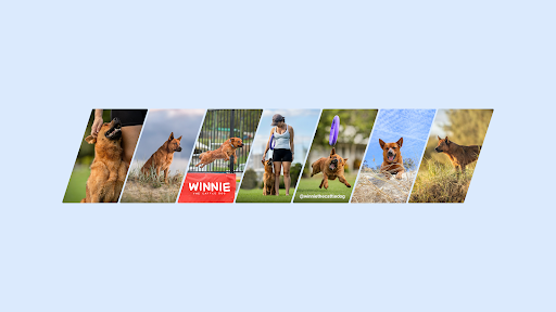 Winnie the Cattle Dog banner