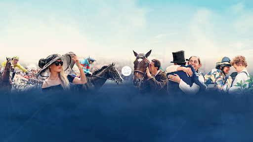 World Horse Racing banner