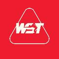 WST avatar