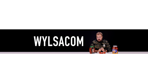 Wylsacom banner