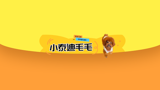 小泰迪毛毛 banner