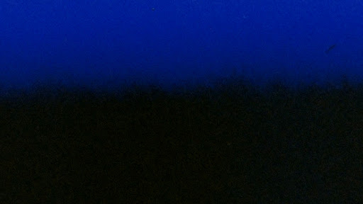 XODIAC Official banner