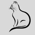 White cat movie avatar