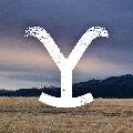 Yellowstone Universe avatar