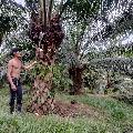 ZAINAL STORY avatar