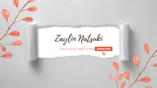 ZAYLIN banner