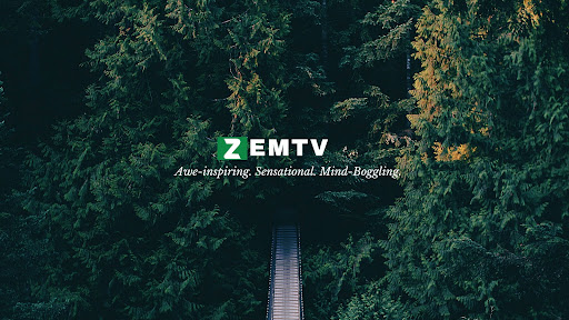 Zem TV banner