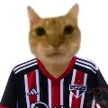 Zezin dos Ranks avatar