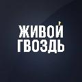 Живой Гвоздь avatar