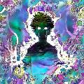 zvdominik avatar