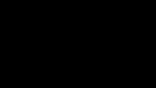 Спиди banner