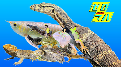 ぜろまるペッツ banner