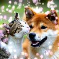 動物癒し動画♡ animal cute avatar