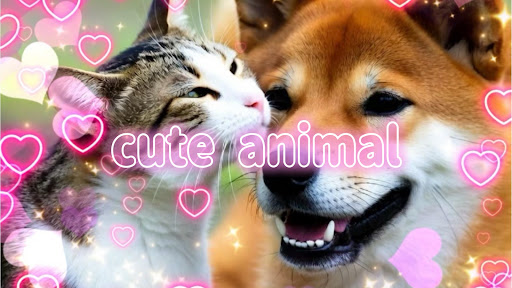 動物癒し動画♡ animal cute banner