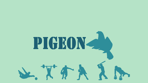 白鴿運動天地 banner