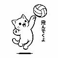 飛んでくよ avatar